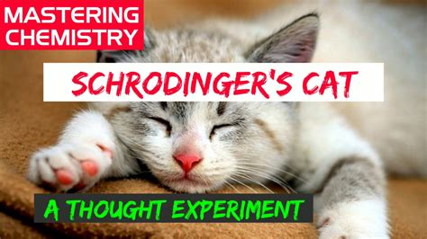 #Schrodinger's Cat# Quantum Superposition # Famous Thought Experiment# Quantum Mechanics# - YouTube