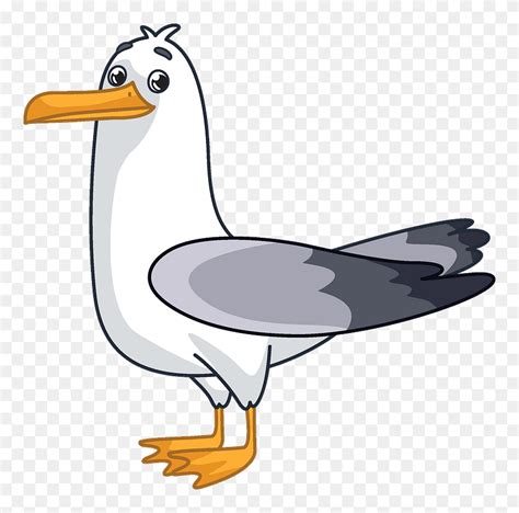 Seagull Clipart - Cartoon - Png Download (#5250728) - PinClipart