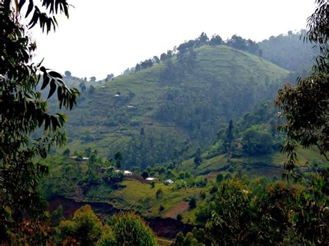 Grand Kivu Landscape | Photo Gallery | Page 3 | SkyscraperCity Forum