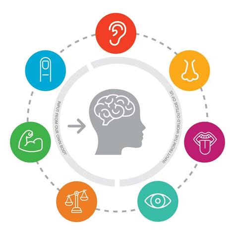 What is sensory integration (Part 1)? - Carla Grobler Occupational Therapist