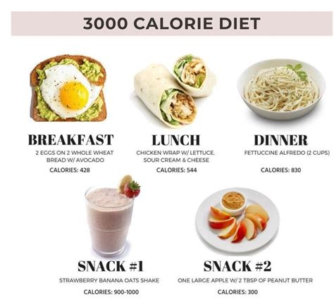 What Is There in a 3000 Calories Diet? - Medical Darpan