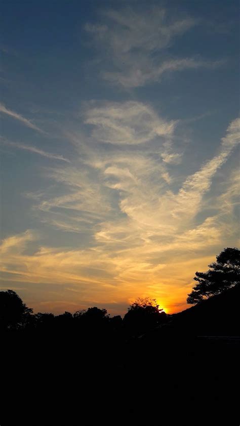 Beautiful Sunset Sky with Trees and Clouds