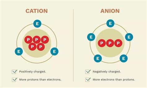 Un anión divalente presenta 18 electrones, ¿cuál es su número atómico ...