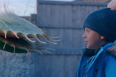 John Lewis Christmas advert 2023: Meet Snapper the Venus flytrap | Radio Times