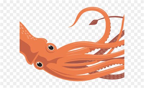 Realistic Clipart Squid - Giant Squid Clip Art - Png Download (#657290 ...