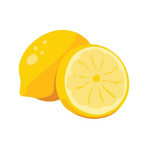 fresh lemon sliced. the tropical fruits illustration collection in vector design. healthy, juicy ...