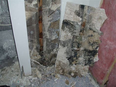 Why Mold Removal Is An Important Part of Flood Damage Restoration