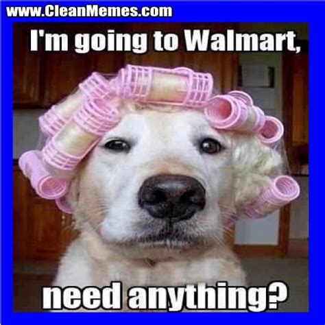 23 Funniest Walmart Memes You'll Ever See - SayingImages.com