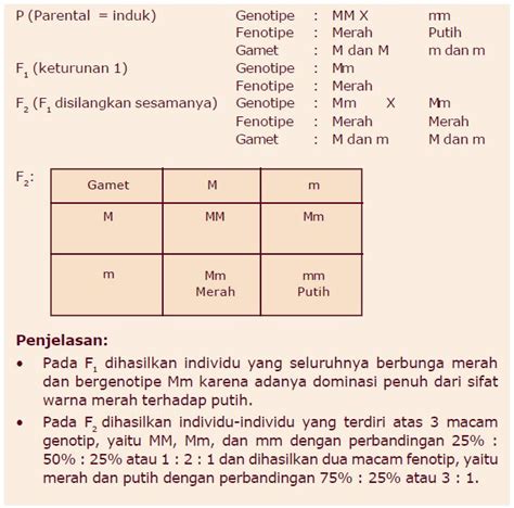 Contoh Persilangan Monohibrid dan Dihibrid