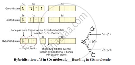 Explain the Structure of Sulphur Dioxide. - Chemistry | Shaalaa.com