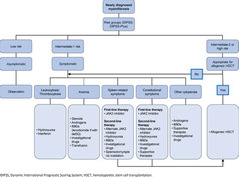 Proposed treatment algorithm for primary myelofibrosis [19] | Download Scientific Diagram