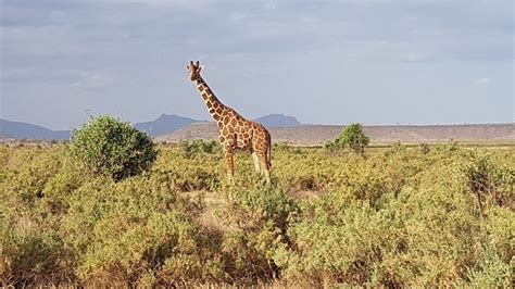 East African Eco Adventures - Nairobi | Tripadvisor