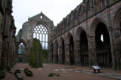 Holyrood Abbey – The Hazel Tree