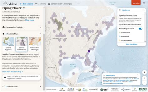 National Audubon Society's Bird Migration Explorer | Blue Raster