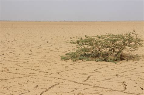 Islamic Relief launches urgent Somalia drought appeal | Islamic Relief Worldwide