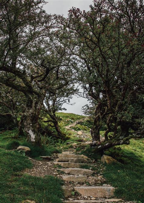 Guide to walking up Cader Idris | Visit Wales