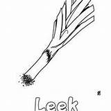 Leek coloring Pages  Hellokidscom sketch template