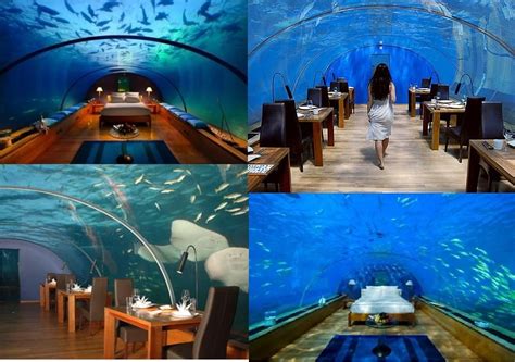 Hilton Maldives underwater suites restaurants | Best resorts, Maldives hotel, Maldives travel