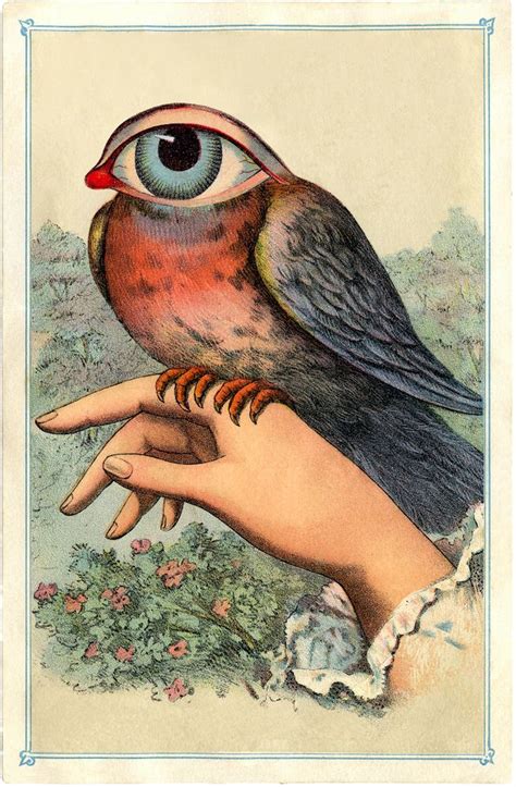 Strange Bird Art Print by Annalynn Hammond - X-Small | Hand images, Bird art print, Bird art