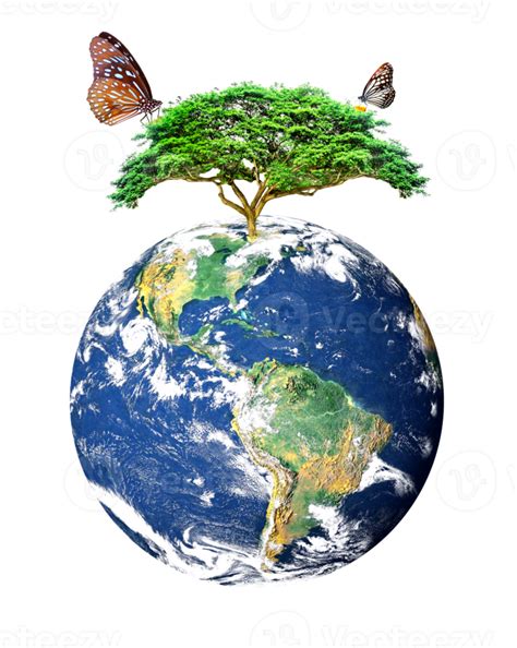 earth and nature biodiversity on a transparent background 13811134 PNG