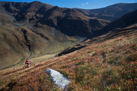 Southern Carpathians | Rewilding Europe