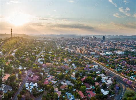 Aerial panorama of Pretoria city skyline at sunset. Jacaranda trees in ...