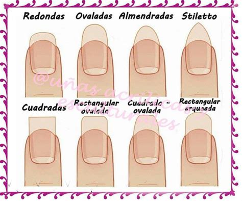 Pin on uña escultural. | Gel nails, Nails desing, Fashion nails