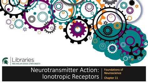 Chapter 11 - Ionotropic Receptors - YouTube