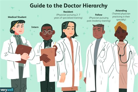 types of doctors for females - Leila Byrne