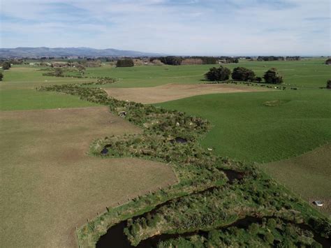 Stoney Creek - NZ Landcare Trust