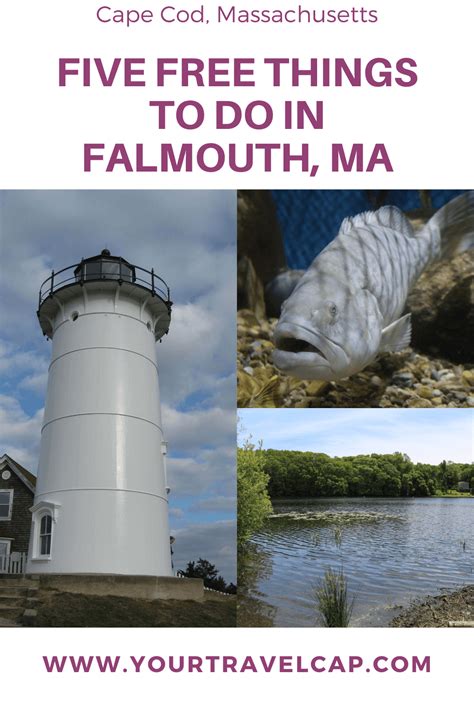 Five Free Things to do in Falmouth, MA - Your Travel Cap