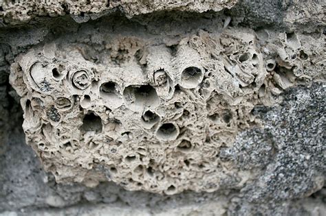 Louisville Fossils and Beyond: Pseudofossils at Pompeii Italy