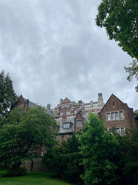 dark academia vibes | Wellesley college, College campus, College aesthetic