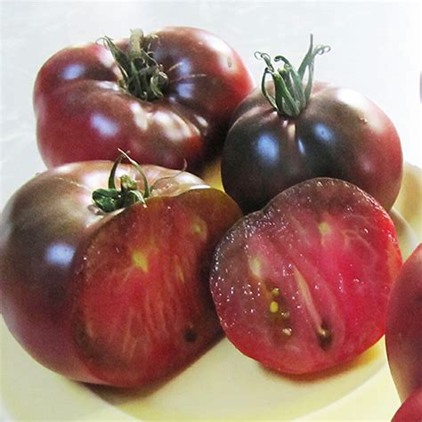 TOMATO - Cherokee Purple | Buy Online at Seeds Of Plenty – Seeds of Plenty