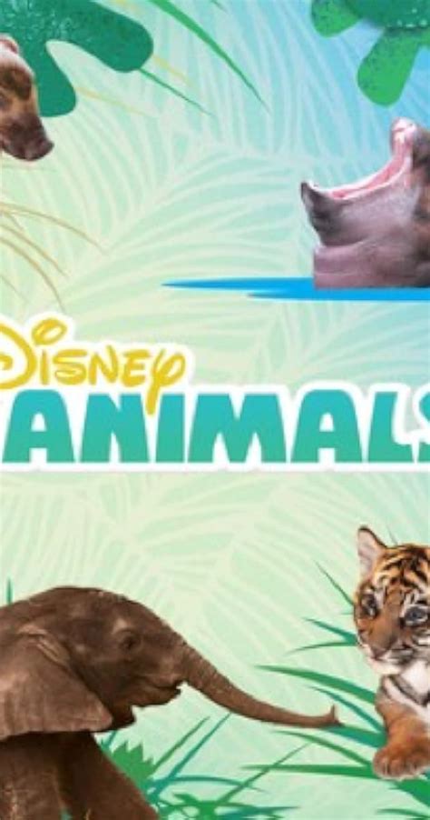 Disney Animals - Episodes - IMDb