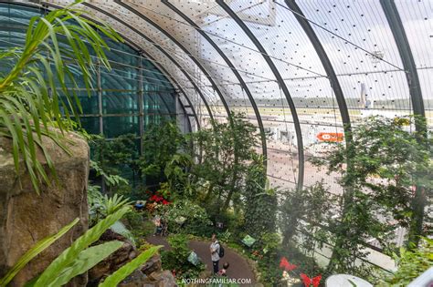 How to Visit the Beautiful Singapore Butterfly Garden at the Airport!