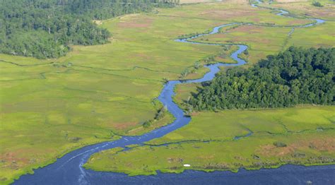 Lower Cape Fear River Blueprint | North Carolina Coastal Federation