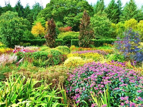 Rosemoor Garden RHS & places to stay nearby - Great British Gardens