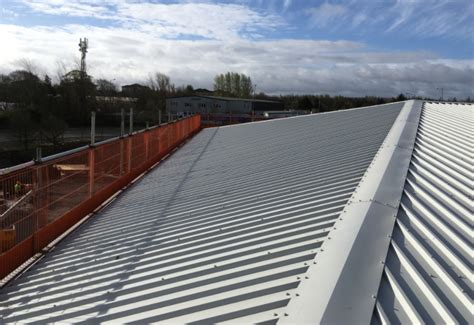 Roof Edge Protection | Best Residential Scaffolding Auckland 2021