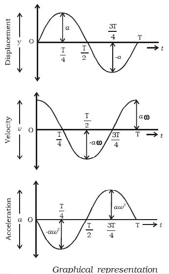 Simple Harmonic Motion Graphs - ItzelatHolmes