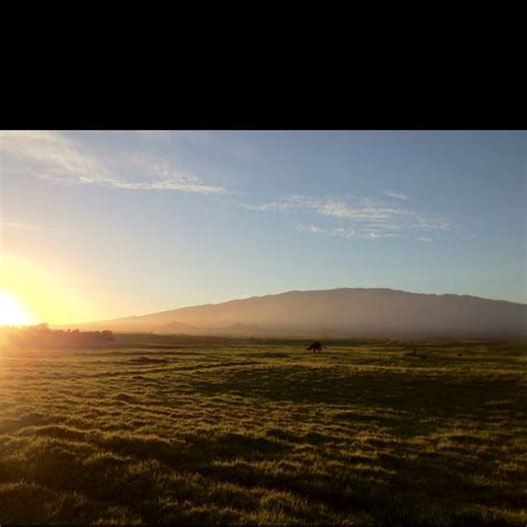 Mauna Kea Sunrise from Mana Road. Waimea, Hawaii | Waimea, Big island, Big island hawaii