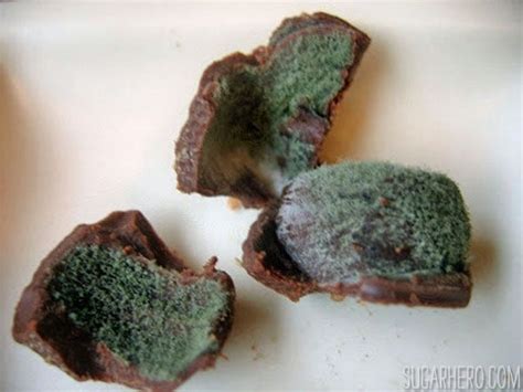 Matcha Chocolate Tarts - SugarHero