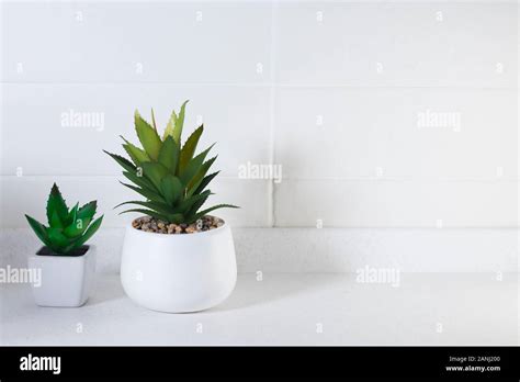 Artificial succulents in ceramic pots in the kitchen as an interior ...