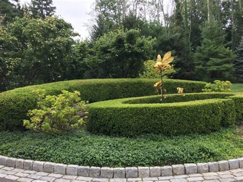 Landscaping With Boxwood Hedges — Randolph Indoor and Outdoor Design