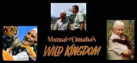 Loved me some wild kingdom | Wild kingdom, Kingdom tv show, Childhood memories