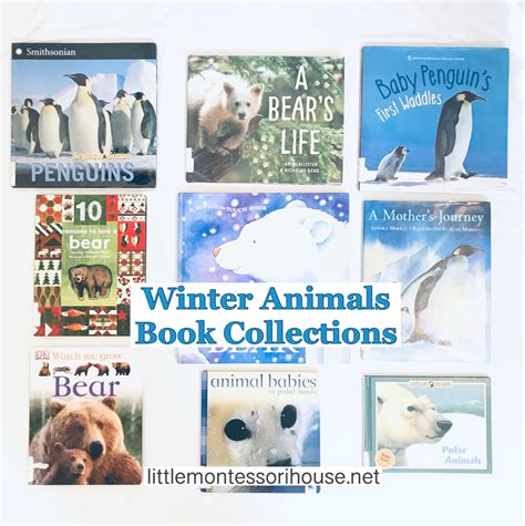 Winter Animals Book Collection For Kids – The Little Montessori House