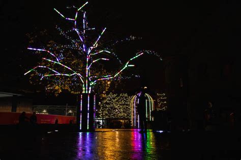 London's 2020 Christmas Trees | Londonist