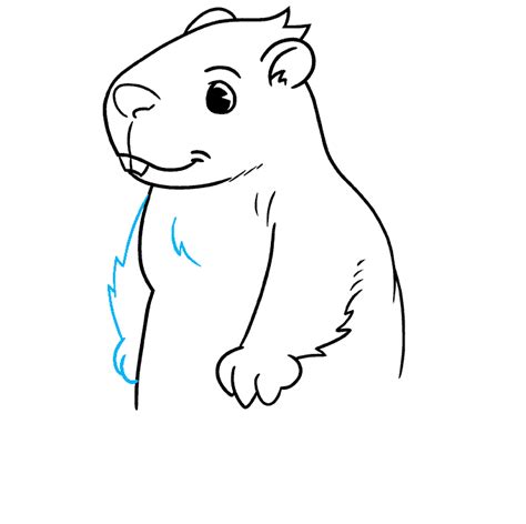 How to Draw a Groundhog - Really Easy Drawing Tutorial