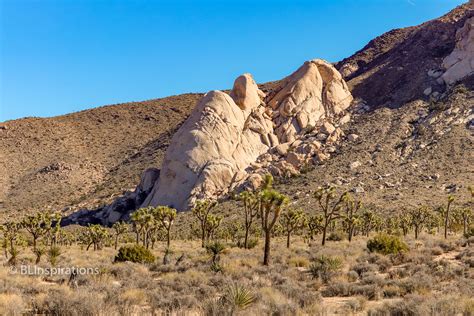 Joshua Tree Geology - BLInspirations