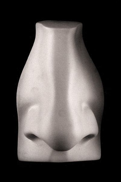 David Full-Size Detail Nose Sculpture for Sale, Item #146 – Caproni Collection